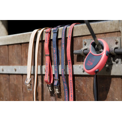 Collare in nylon Diego & Louna per cane Antracite / corallo Grigio