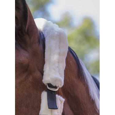 Cavezza Norton in montone sintetico Nero / écru