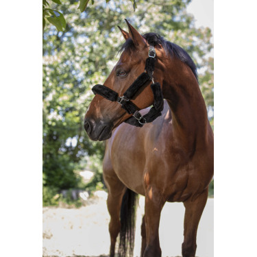 Cavezza Norton in montone sintetico Nero / nero