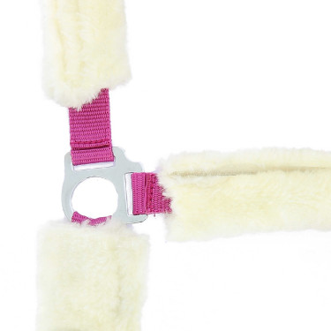 Cavezza Norton in montone sintetico Fucsia / écru Rosa