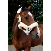 Capezzina Equithème Teddy Bordeaux / écru Capezzina Equithème Teddy Bordeaux / écru