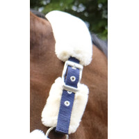 Capezzina Equithème Teddy Verde / marrone Capezzina Equithème Teddy Verde / marrone