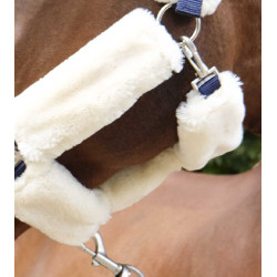 Capezzina Equithème Teddy Marina / écru Blu