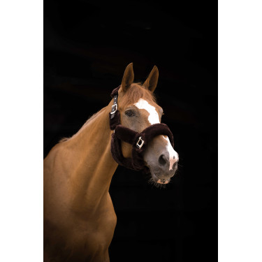 Capezzina Equithème Teddy Nero / marrone