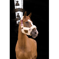 Capezzina Equithème Teddy Bordeaux / écru Capezzina Equithème Teddy Bordeaux / écru