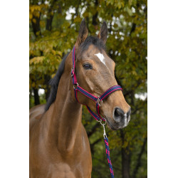 Capezzina + lunghina Equitheme Satinato Marina / fucsia Blu