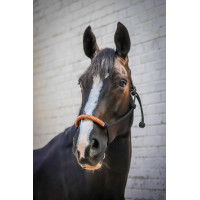 Capestro etologico Pénélope americano Nero