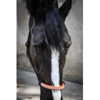 Capestro etologico Pénélope americano Nero