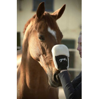 Guanto per la strigliatura Pénélope Nero