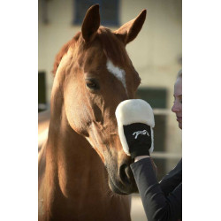 Guanto per la strigliatura Pénélope Nero