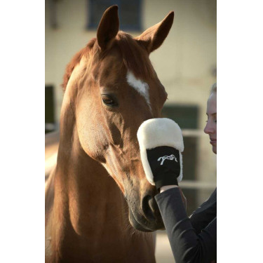 Guanto per la strigliatura Pénélope Nero