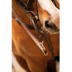 Redini Pénélope Howlett