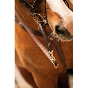 Redini Pénélope Howlett