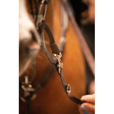 Redini Pénélope Howlett