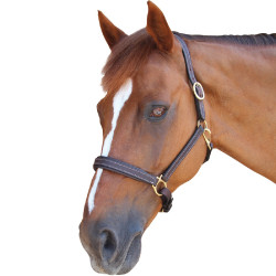 Cavezza Privilege Equitation La Baule Cavezza Privilege Equitation La Baule
