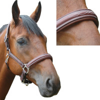 Licol Privilege Equitation Royan Noir Licol Privilege Equitation Royan Noir