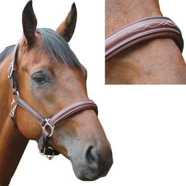 Licol Privilege Equitation Royan Noir