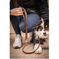 Lascia cane Pénélope Rubber Avana Marrone