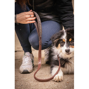 Lascia cane Pénélope Rubber Avana Marrone