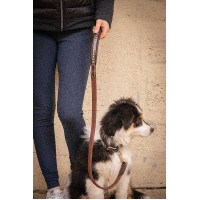 Lascia cane Pénélope Rubber Avana Marrone