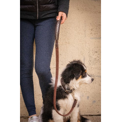 Lascia cane Pénélope Rubber Avana Marrone