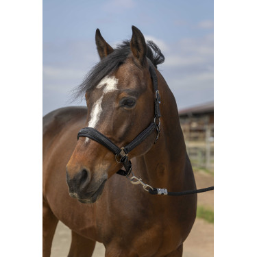 Capestro Equithème Nylon Strass Nero