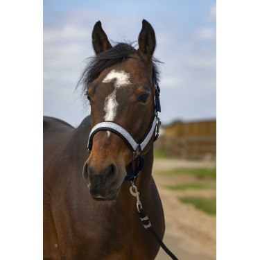 Capestro Equithème Nylon Check Blu navy / nero