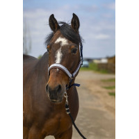 Capestro Equithème Nylon Check Marina / marrone Blu