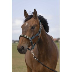 Capestro Equithème Nylon Chevron Verde scuro