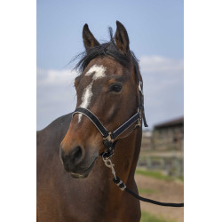 Capezzina Equithème Nylon light Nero