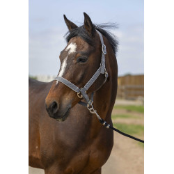 Capezzina Equithème Nylon light Grigio