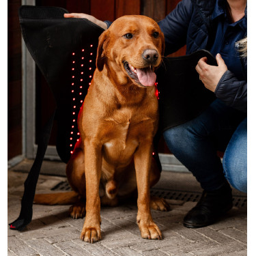 Cappotto per cani terapeutico Horseware con luce rossa a LED Nero / nero Cappotto per cani terapeutico Horseware con luce rossa a LED Nero / nero