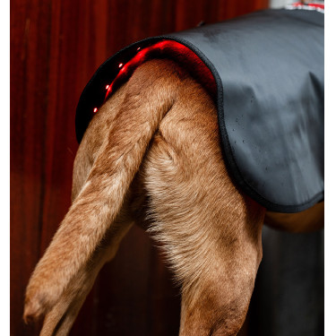 Cappotto per cani terapeutico Horseware con luce rossa a LED Nero / nero Cappotto per cani terapeutico Horseware con luce rossa a LED Nero / nero
