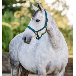 Capestro e lunghina Horseware Verde dinastia