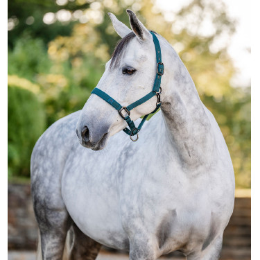 Capestro e lunghina Horseware Verde dinastia