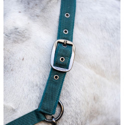Capestro e lunghina Horseware Verde dinastia