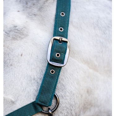 Capestro e lunghina Horseware Verde dinastia