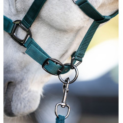 Capestro e lunghina Horseware Verde dinastia