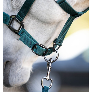 Capestro e lunghina Horseware Verde dinastia