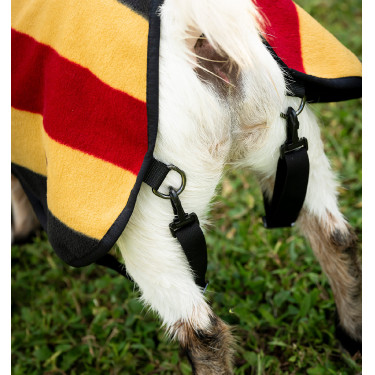 Coperta in pile Horseware Newmarket per capra Oro bianco