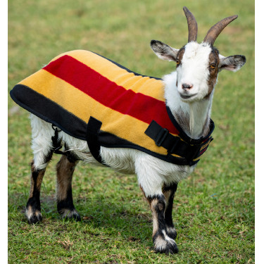 Coperta in pile Horseware Newmarket per capra Oro bianco