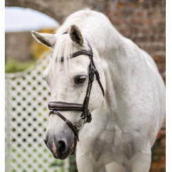 Briglia da pony Horseware Flash Marrone Briglia da pony Horseware Flash Marrone