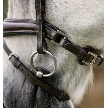 Briglia da pony Horseware Flash Marrone Briglia da pony Horseware Flash Marrone