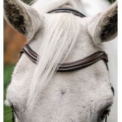 Briglia da pony Horseware Flash Marrone Briglia da pony Horseware Flash Marrone