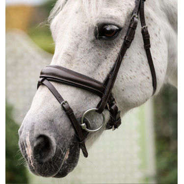 Briglia da pony Horseware Flash Marrone