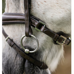 Briglia da pony Horseware Flash Marrone