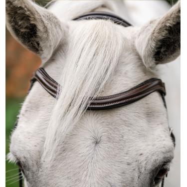 Briglia da pony Horseware Flash Marrone