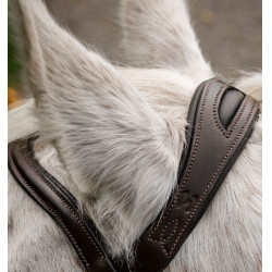 Briglia da pony Horseware Flash Marrone