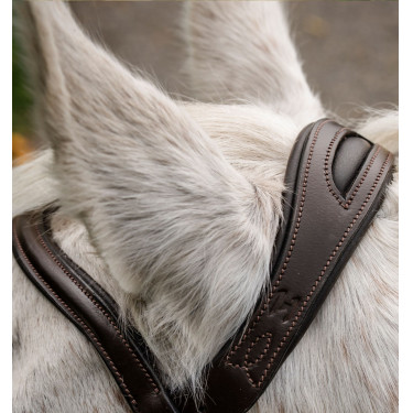 Briglia da pony Horseware Flash Marrone