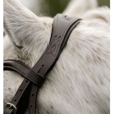 Briglia da pony Horseware Flash Marrone